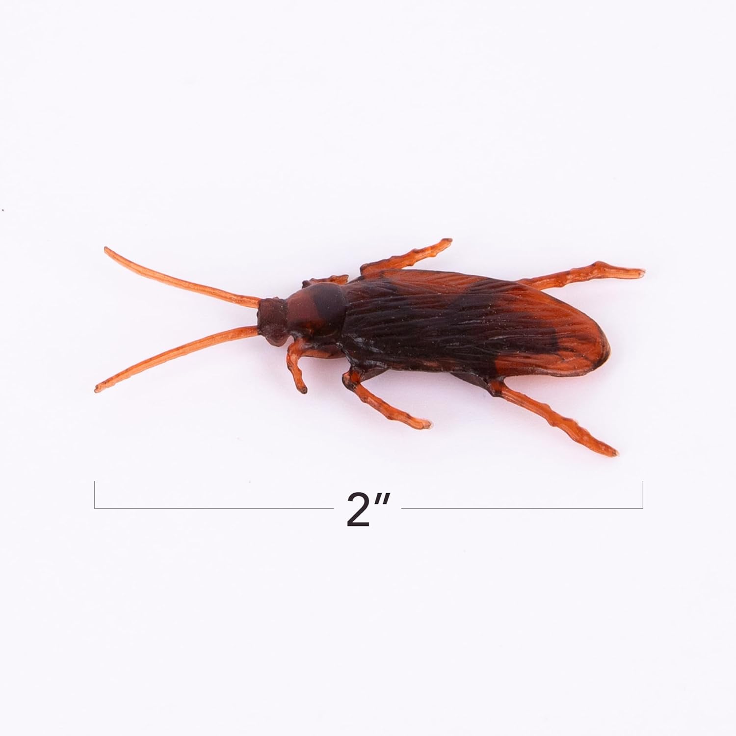 Fake Cockroach Toy Set - Pack of 100 - Prank Plastic Cockroaches with Bendable Legs and Antennae