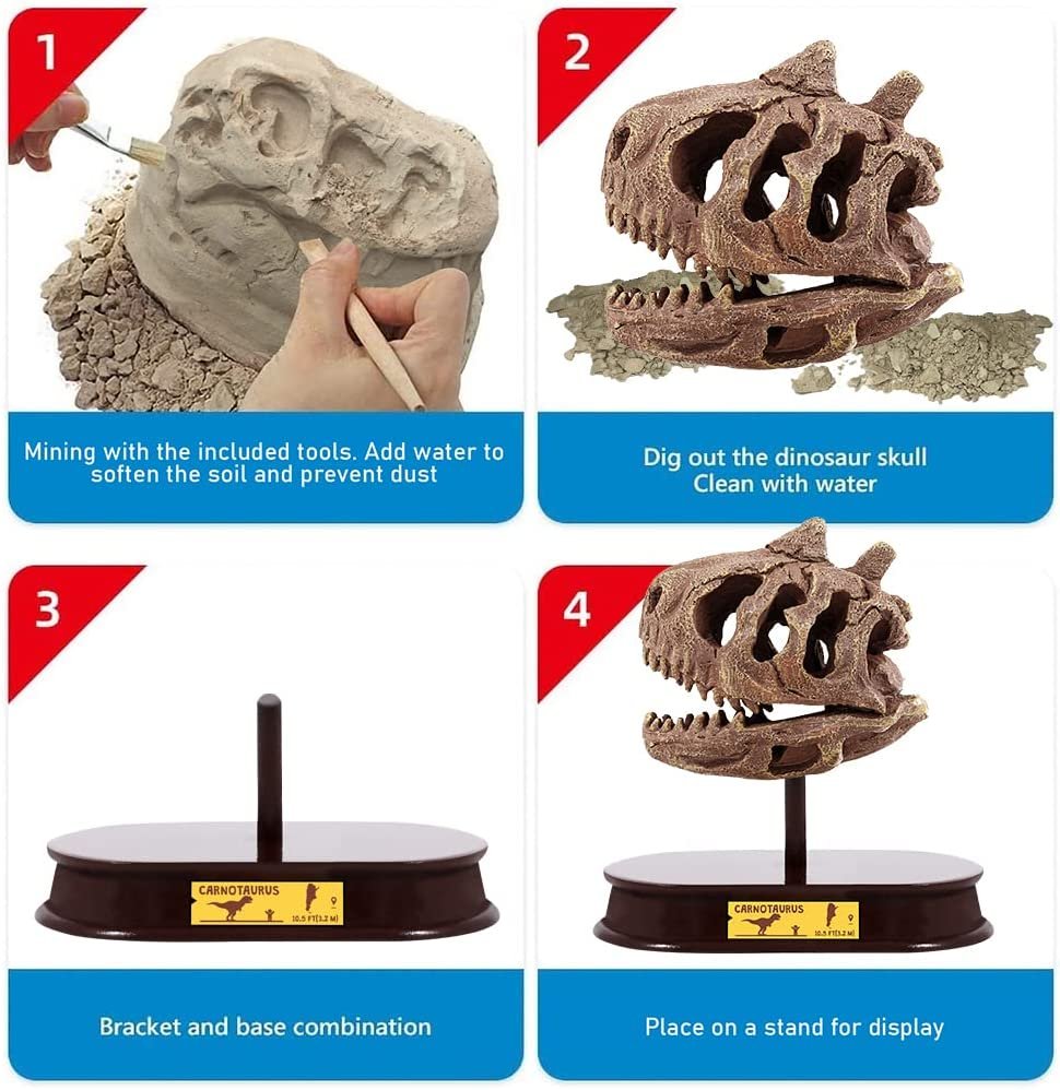 Dinosaur Excavation Kit for Kids, with Fossil Digging Tools and Stand