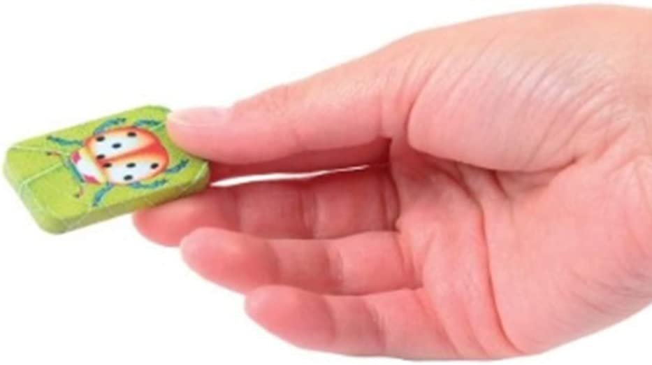 Bug Clickers for Kids, Set of 12, Fun Assorted Cricket Noise Makers for Children with Colorful Insect Decorations, Unique Birthday Party Favors, Goodie Bag Fillers for Boys and Girls