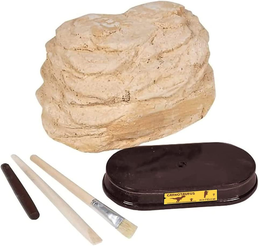 Dinosaur Excavation Kit for Kids, with Fossil Digging Tools and Stand