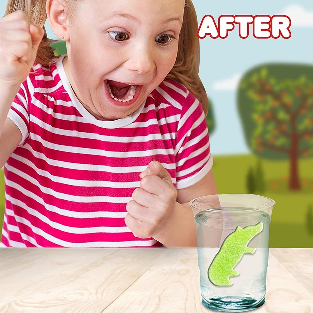 Magic Growing Animal Capsules, Grow in Water, 2 Packs with 12 Expanding Animal Capsules Each, Cute Color Variety, Kids’ Birthday Party Favors, Contest Prize or Gift Idea