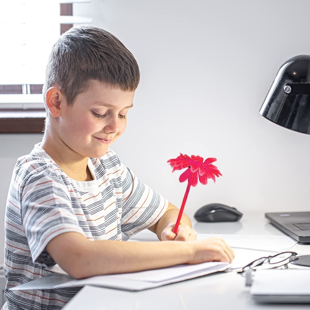 Daisy Flower Pens, Set of 12, Fun Writing Pens for Kids and Adults with Black Ink, Cool Back to School Stationery Supplies, Birthday Party Favors, Goody Bag Fillers, and Office Gifts