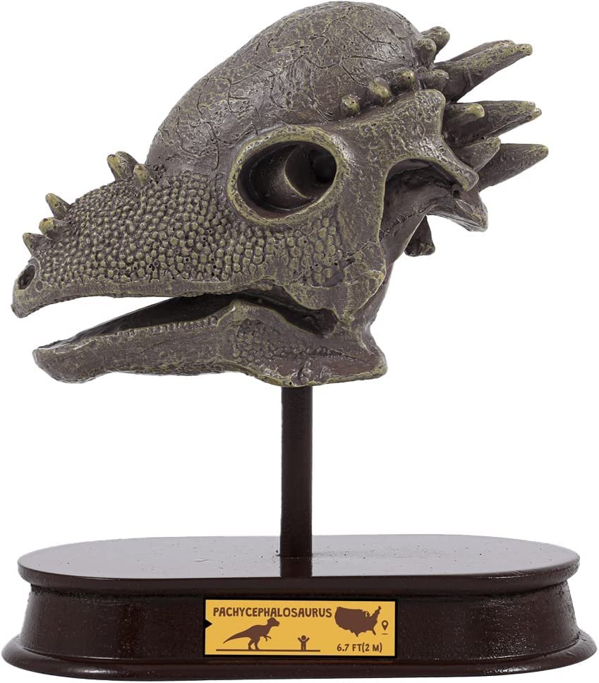 Dinosaur Excavation Kit for Kids, 5.5” Pachycephalosaurs Skull Excavating Set with Fossil Digging Tools and Stand, Fun Science Activity Toy, Educational Dinosaur Gift for Boys and Girls