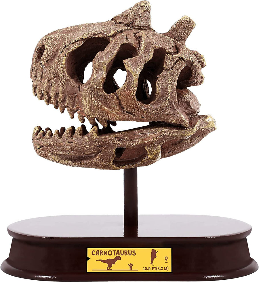 Dinosaur Excavation Kit for Kids, with Fossil Digging Tools and Stand