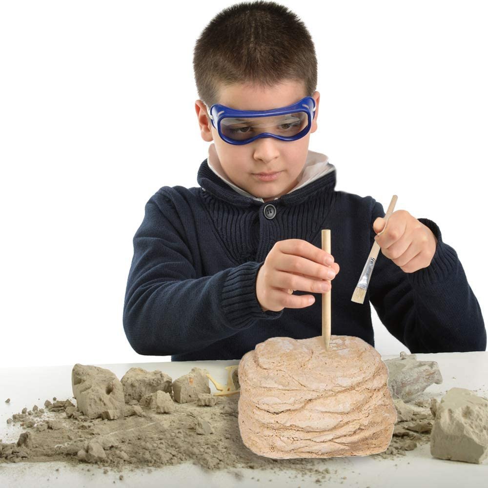Dinosaur Excavation Kit for Kids, 5.5” Triceratops Skull Excavating Set with Fossil Digging Tools and Stand, Fun Science Activity Toy, Educational Dinosaur Gift for Boys and Girls
