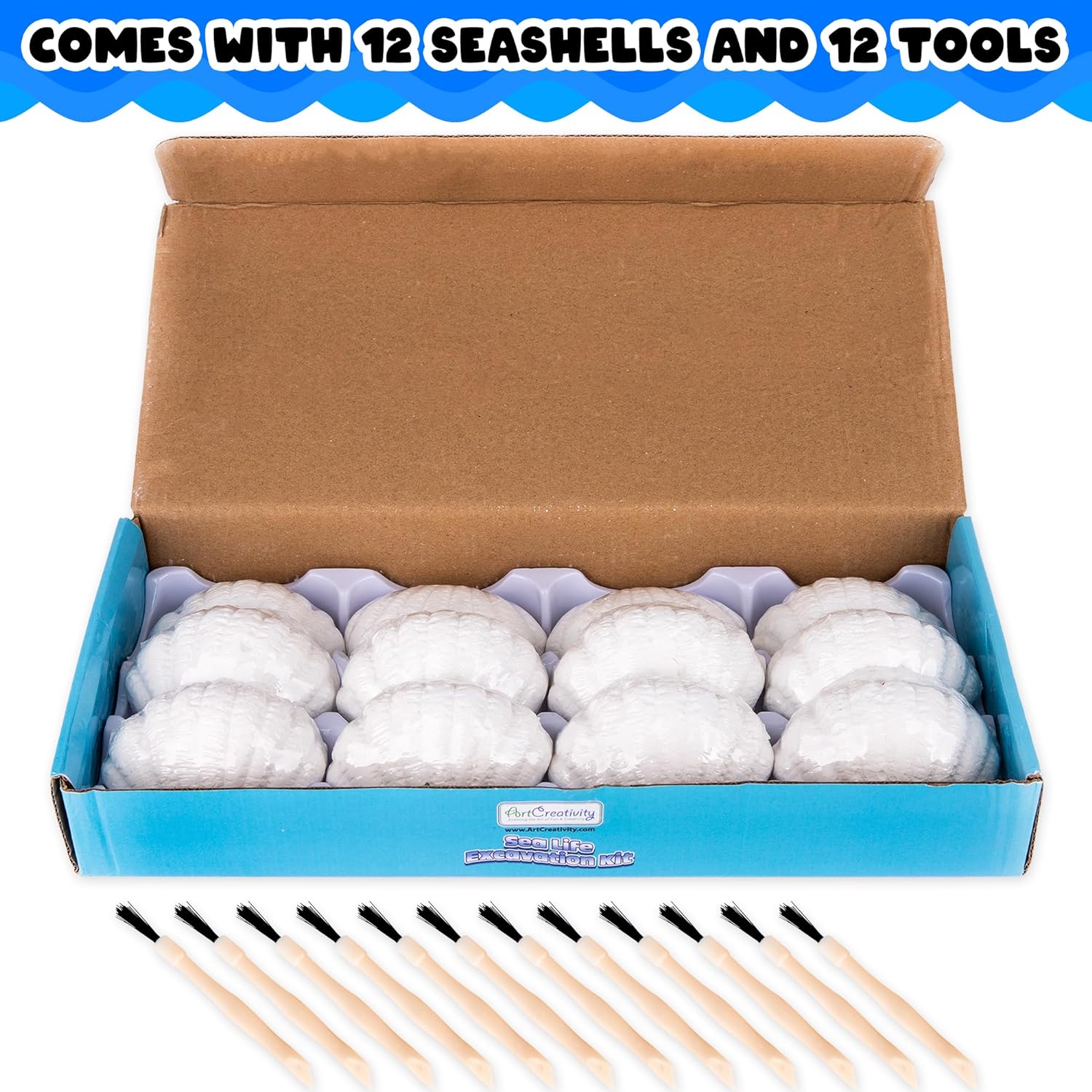Ocean Animals Toys Excavation Kit - 12 Seashells and 12 Excavation Tools - Includes 12 Different Sea Animal Toys