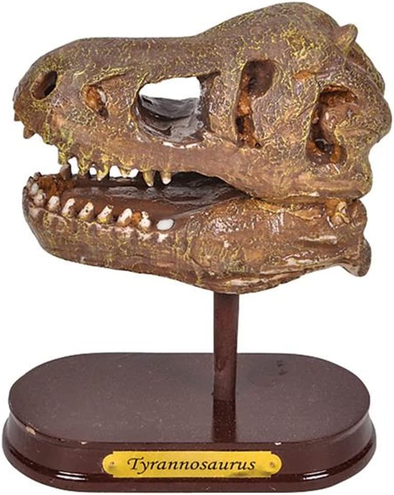Dinosaur Excavation Kit for Kids, 5.5” T-Rex Dino Skull Excavating Set with Fossil Digging Tools and Stand, Fun Science Activity Toy, Holiday/ Birthday Gift for Boys, Girls, Adults