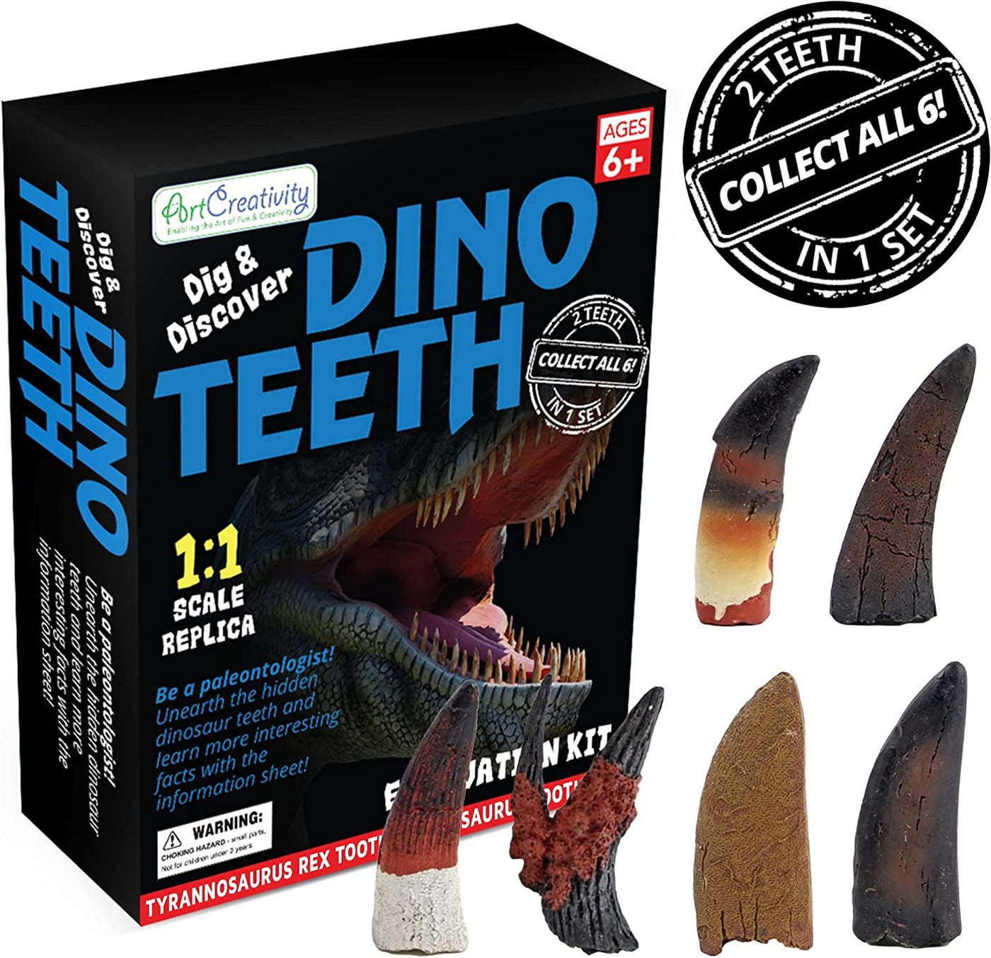 Dino Teeth Dig and Discover Excavation Kit for Kids, Includes T-rex and Tarbosaurus Toy Fossil Teeth with 2 Digging Tools, Interactive Dinosaur Gifts for Boys and Girls