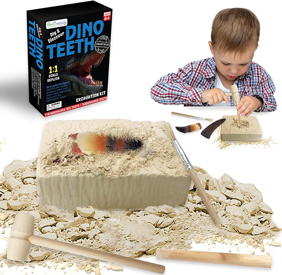 Dino Teeth Dig and Discover Excavation Kit for Kids, Includes T-rex and Tarbosaurus Toy Fossil Teeth with 2 Digging Tools, Interactive Dinosaur Gifts for Boys and Girls