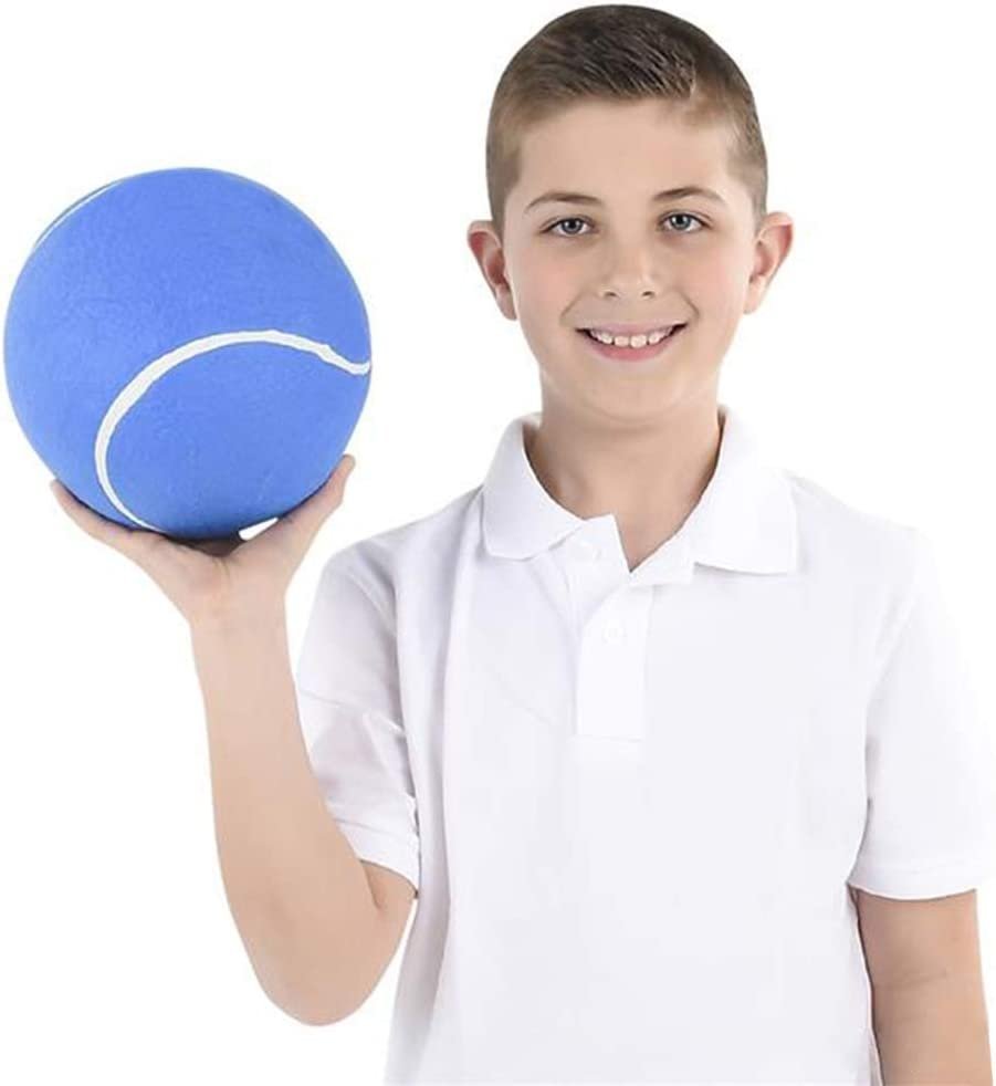 8”" Jumbo Tennis Balls Set of 2 in Assorted Color Blue, Red, Green & Yellow for Kids Age 3+, Perfect for Kids, Adults or Pets, Autographing & Display, Outdoor Play, Great Game Prize