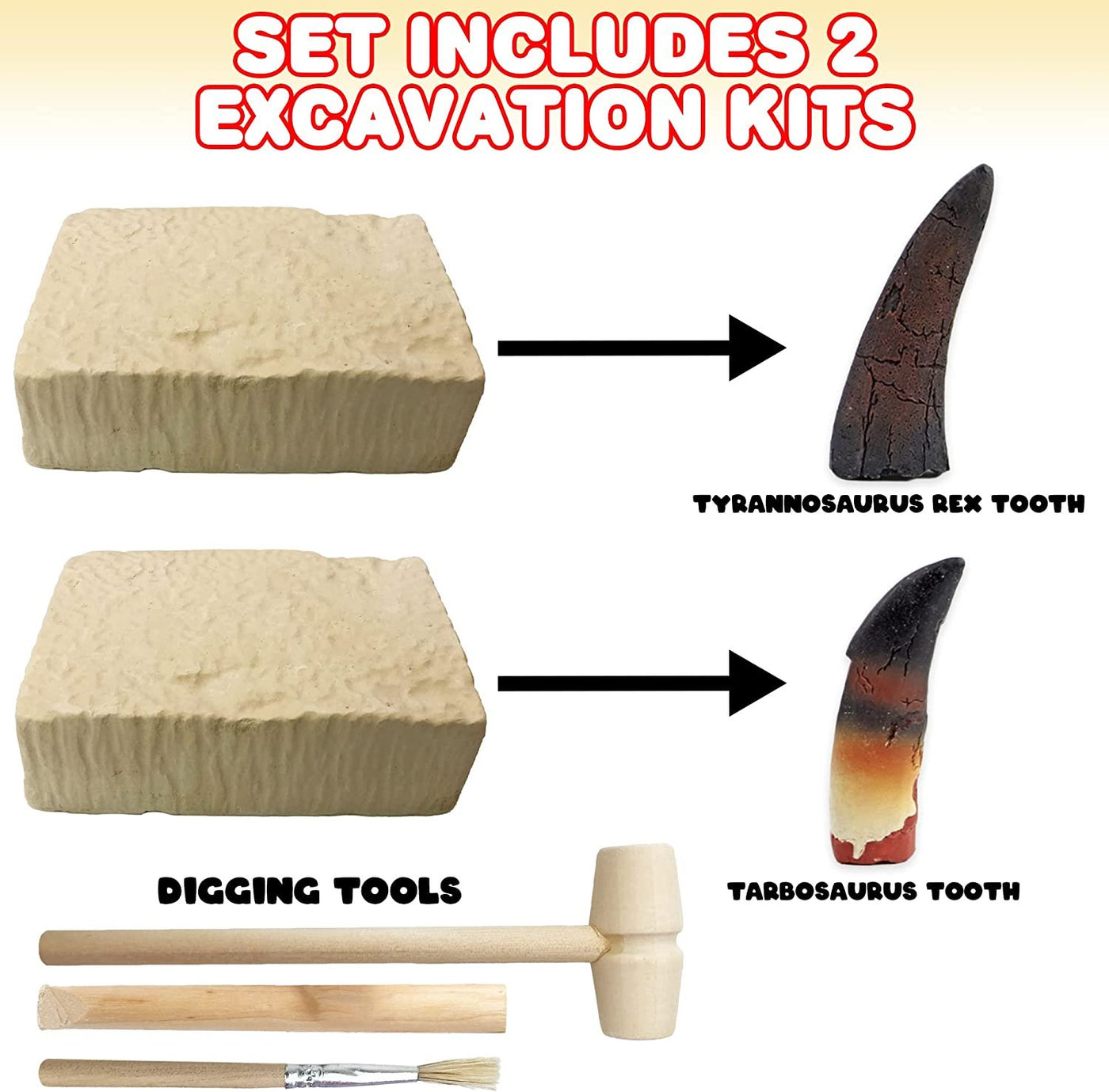 Dino Teeth Dig and Discover Excavation Kit for Kids, Includes T-rex and Tarbosaurus Toy Fossil Teeth with 2 Digging Tools, Interactive Dinosaur Gifts for Boys and Girls