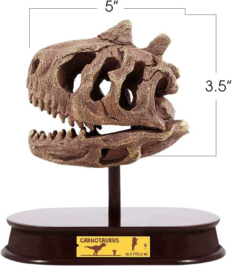 ArtCreativity Dinosaur Excavation Kit for Kids, Carnotaurus Skull Excavating Set with Fossil Digging Tools and Stand, Fun Science Activity Toy, Educational Dinosaur Gift for Boys and Girls