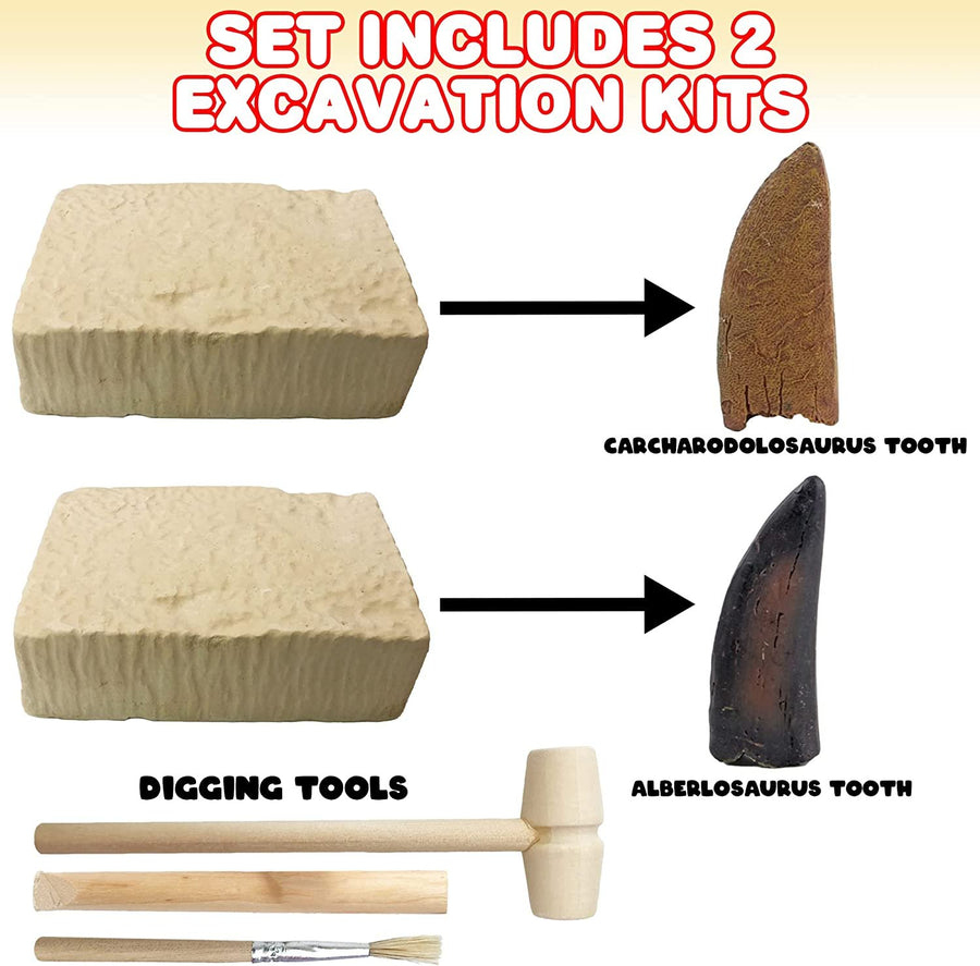 Dino Teeth Dig and Discover Excavation Kit for Kids, Includes Alberlosaurus and Carcharodolosaurus Toy Fossil Teeth with 2 Digging Tools, Interactive Dinosaur Gifts for Boys and Girls
