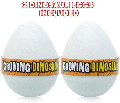 ArtCreativity Growing Dinosaur Eggs, Set of 2, Hatching Dinosaur Toys for Boys and Girls, Dinosaur Birthday Party Favors for Kids, Science Educational Toys for Children, Fun Water Bathtub Toys