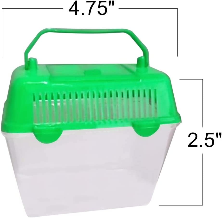 Small Plastic Aquariums for Kids, Set of 4, Single Fish Aquariums in Assorted Vibrant Colors, Under-The-Sea Party Favors, Aquatic Party Supplies, Aquarium Gift Shop Items, 5"es