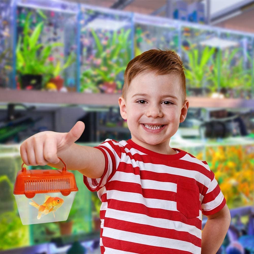Small Plastic Aquariums for Kids, Set of 4, Single Fish Aquariums in Assorted Vibrant Colors, Under-The-Sea Party Favors, Aquatic Party Supplies, Aquarium Gift Shop Items, 5"es