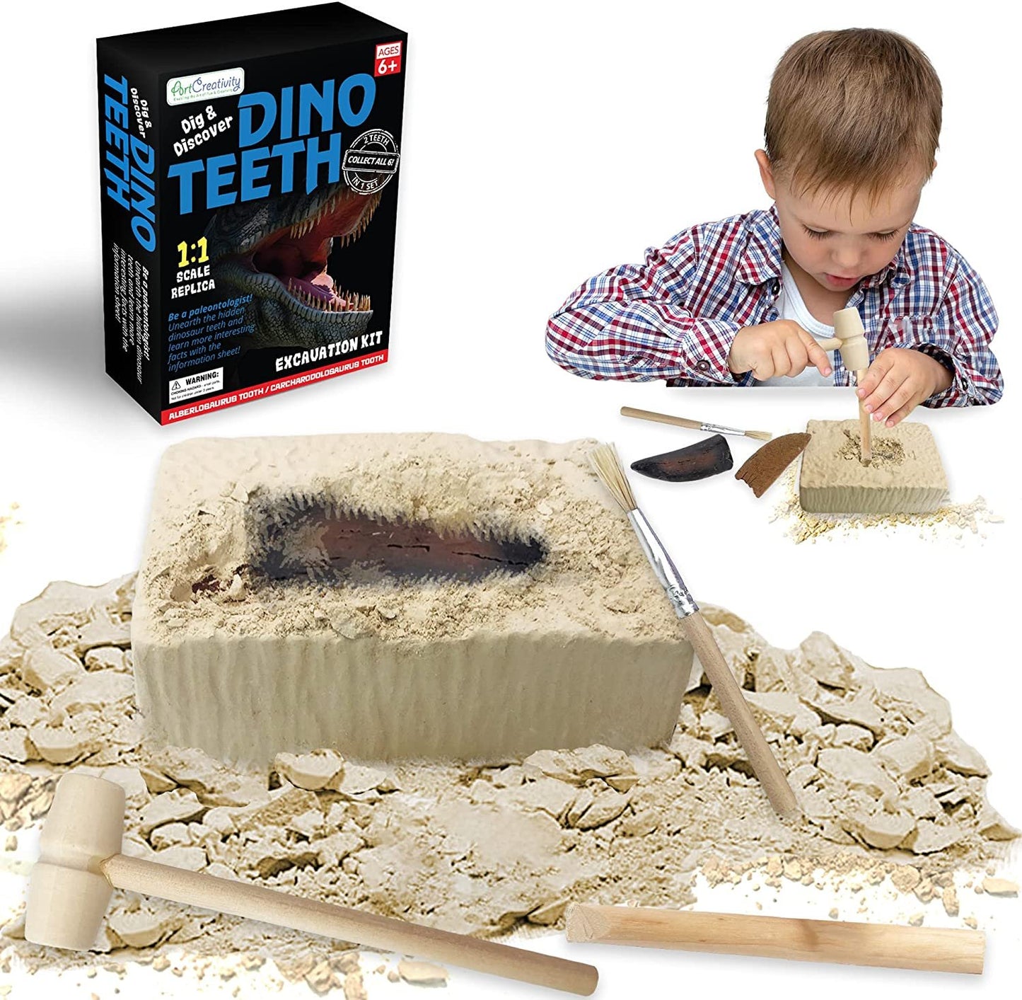 ArtCreativity Dino Teeth Dig and Discover Excavation Kit for Kids, Includes Alberlosaurus and Carcharodolosaurus Toy Fossil Teeth with 2 Digging Tools, Interactive Dinosaur Gifts for Boys and Girls