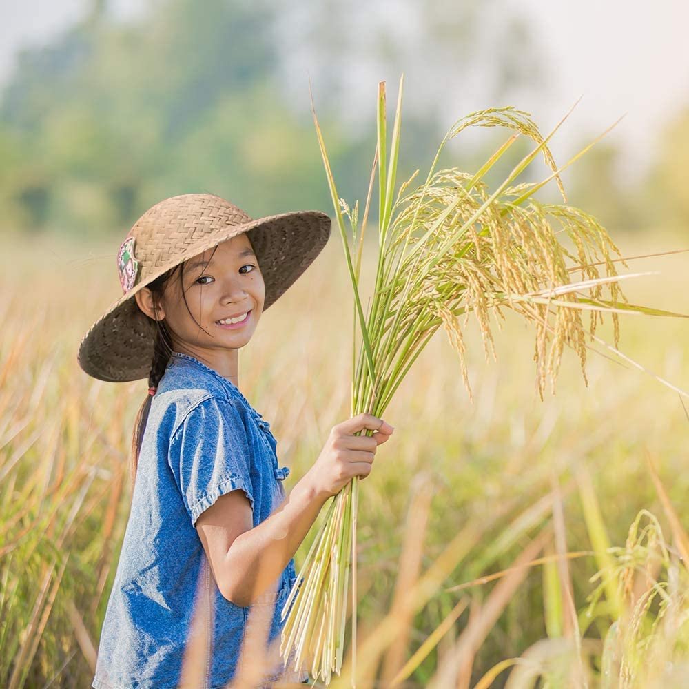 Straw Safari Hat for Kids, 1PC, Child Size Explorer Hat with Safari Expedition Logo, Adventurer and Farmer Costume Prop for Halloween, Fun Dress-Up Accessories, Explorer Gifts…