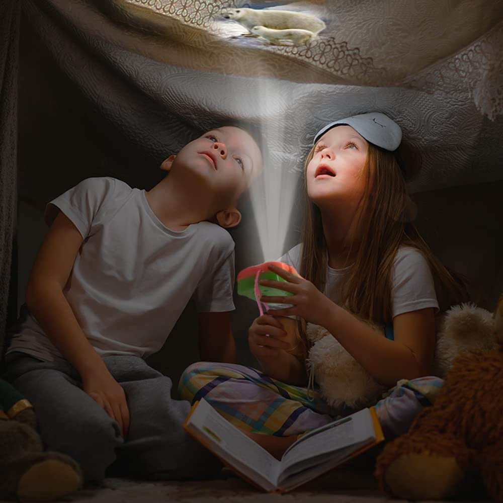 2 in 1 Viewfinder Camera with Projector, Set of 12, Battery Operated Projectors with Wild Animal Slides, Great Safari Party Favors, Zoo Party Supplies, & Wild One Party Favors for Kids