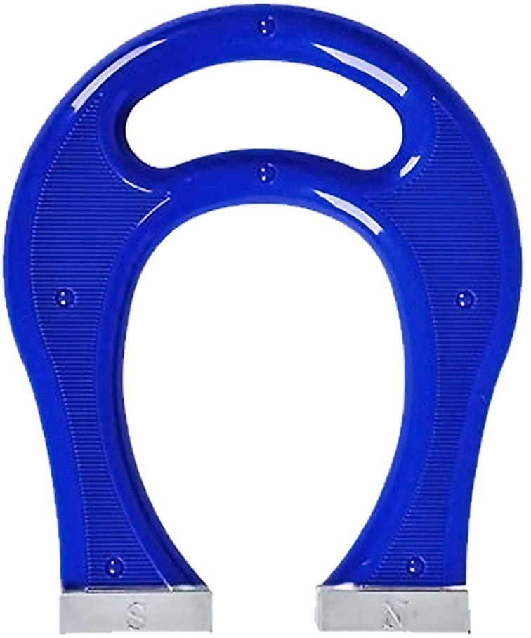 Horseshoe Magnet for Kids - 8" Horse Shoe U-Shaped Magnet with Carry Handle - Fun Science Activity Toy, Great Gift Idea for Boys and Girls, Novelty Item for Adults - Colors May Vary