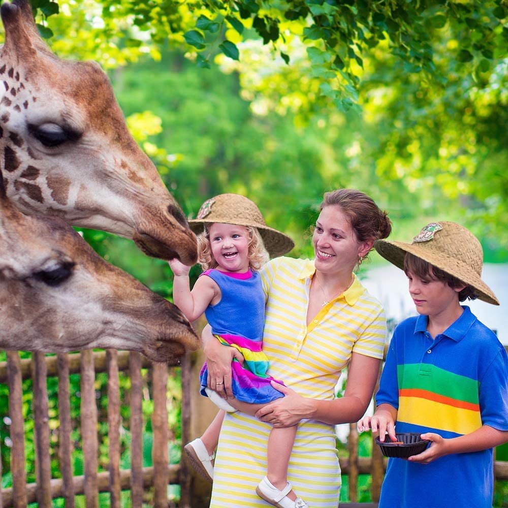 Straw Safari Hat for Kids, 1PC, Child Size Explorer Hat with Safari Expedition Logo, Adventurer and Farmer Costume Prop for Halloween, Fun Dress-Up Accessories, Explorer Gifts…