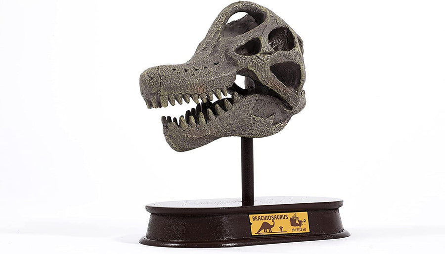 ArtCreativity Dinosaur Excavation Kit - Velociraptor