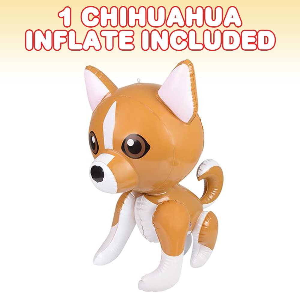 Chihuahua shop party supplies