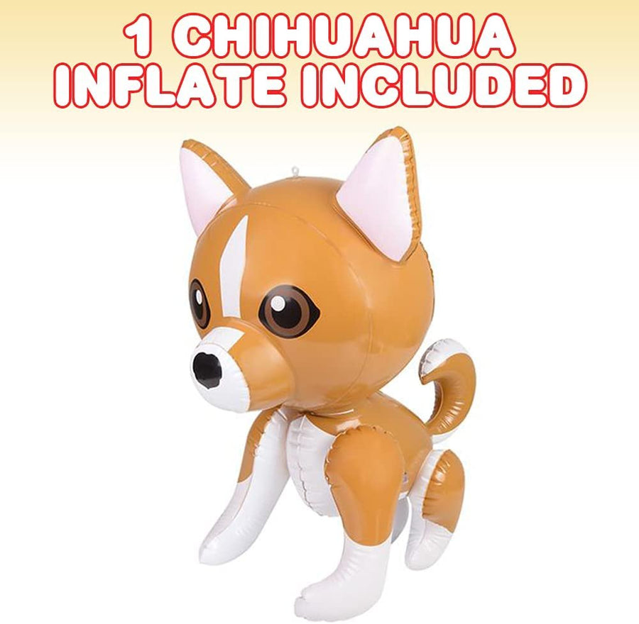 Chihuahua Inflate, Animal Party Decorations and Supplies, Blow-Up Dog Inflate for Animal Birthday Party Favors, Pool Party Float, and Game Prize for Kids