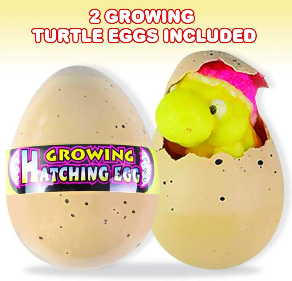 Growing Turtle Eggs, Set of 2, Hatching Turtle Toys for Boys and Girls, Turtle Birthday Party Favors for Kids, Science Educational Toys for Children, Fun Water Bathtub Toys