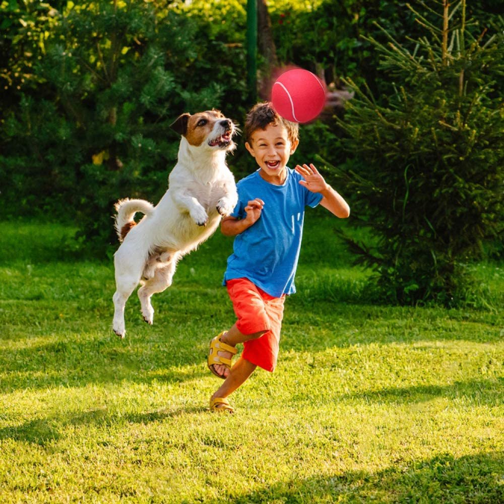 8”" Jumbo Tennis Balls Set of 2 in Assorted Color Blue, Red, Green & Yellow for Kids Age 3+, Perfect for Kids, Adults or Pets, Autographing & Display, Outdoor Play, Great Game Prize